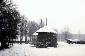 F61 Winter in de Heegerhoek, 1965